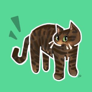 Cat Tabby