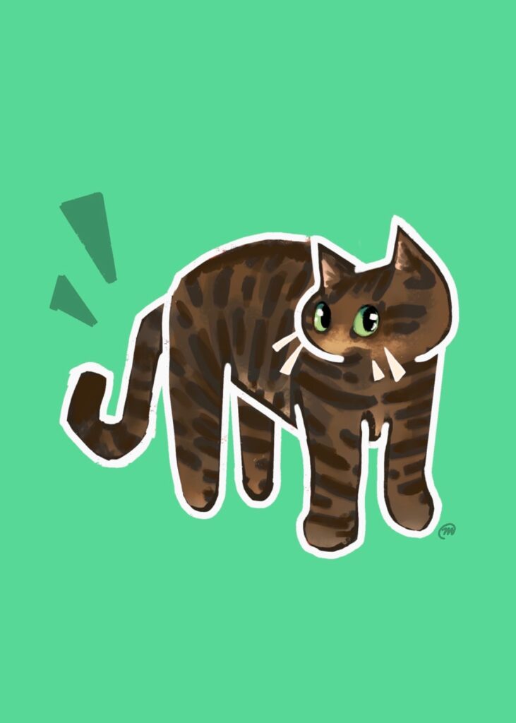 Cat Tabby