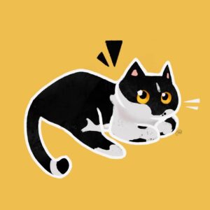 Cat Tuxedo