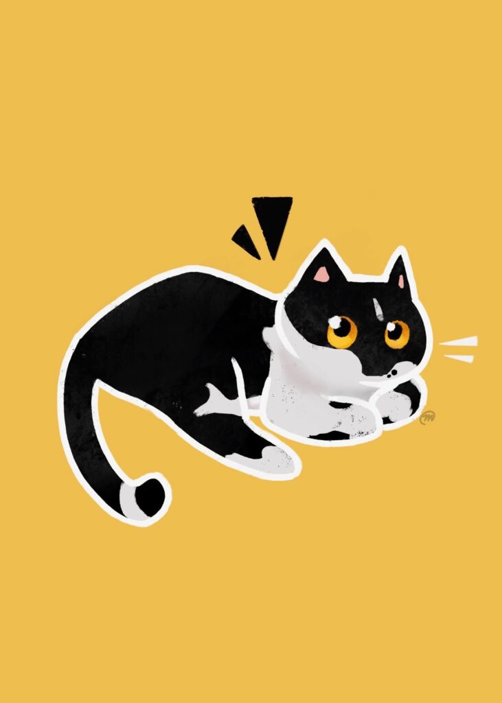 Cat Tuxedo