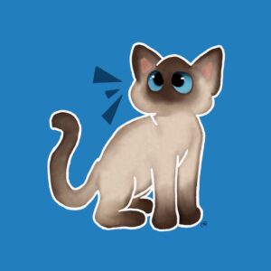 Cat Color Point