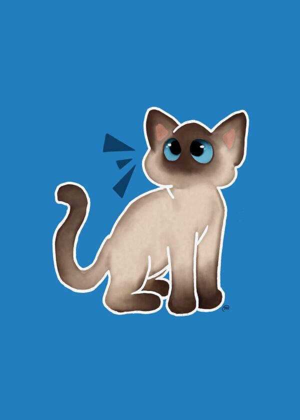 Cat Color Point