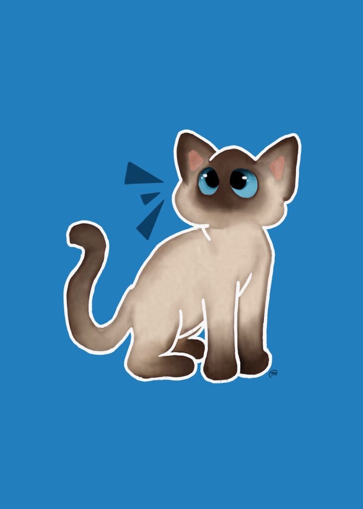 Cat Color Point