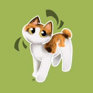 Cat Calico