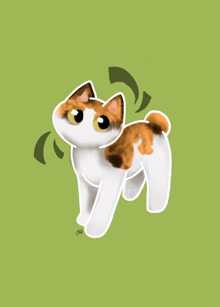 Cat Calico