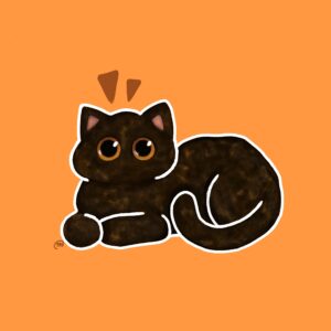 Cat Tortoiseshell