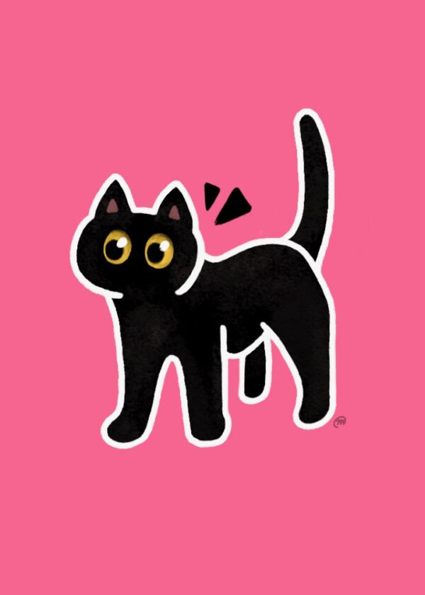 Cat Black
