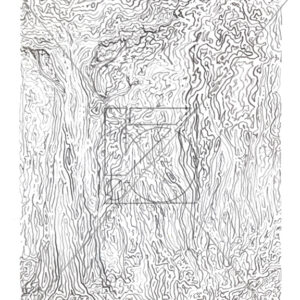 B&W Thoughts of Tree