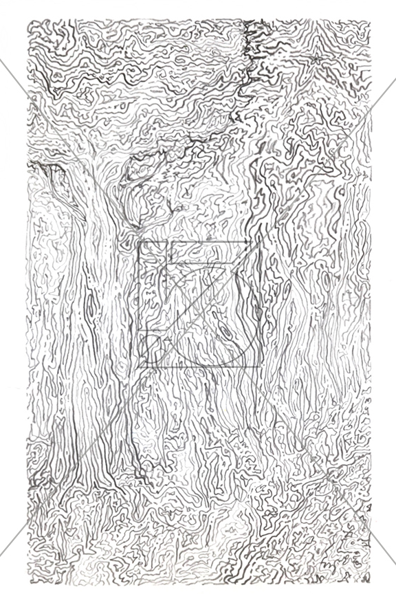 B&W Thoughts of Tree
