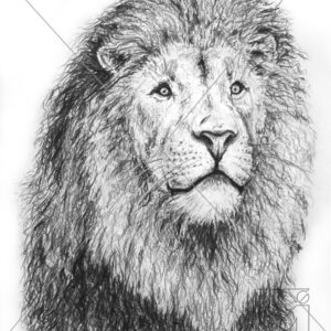 B&W Lion Portrait
