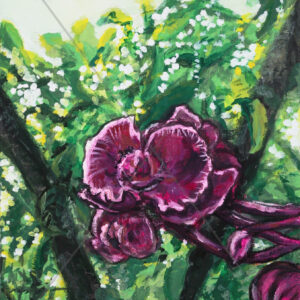 Orchid in Greenery