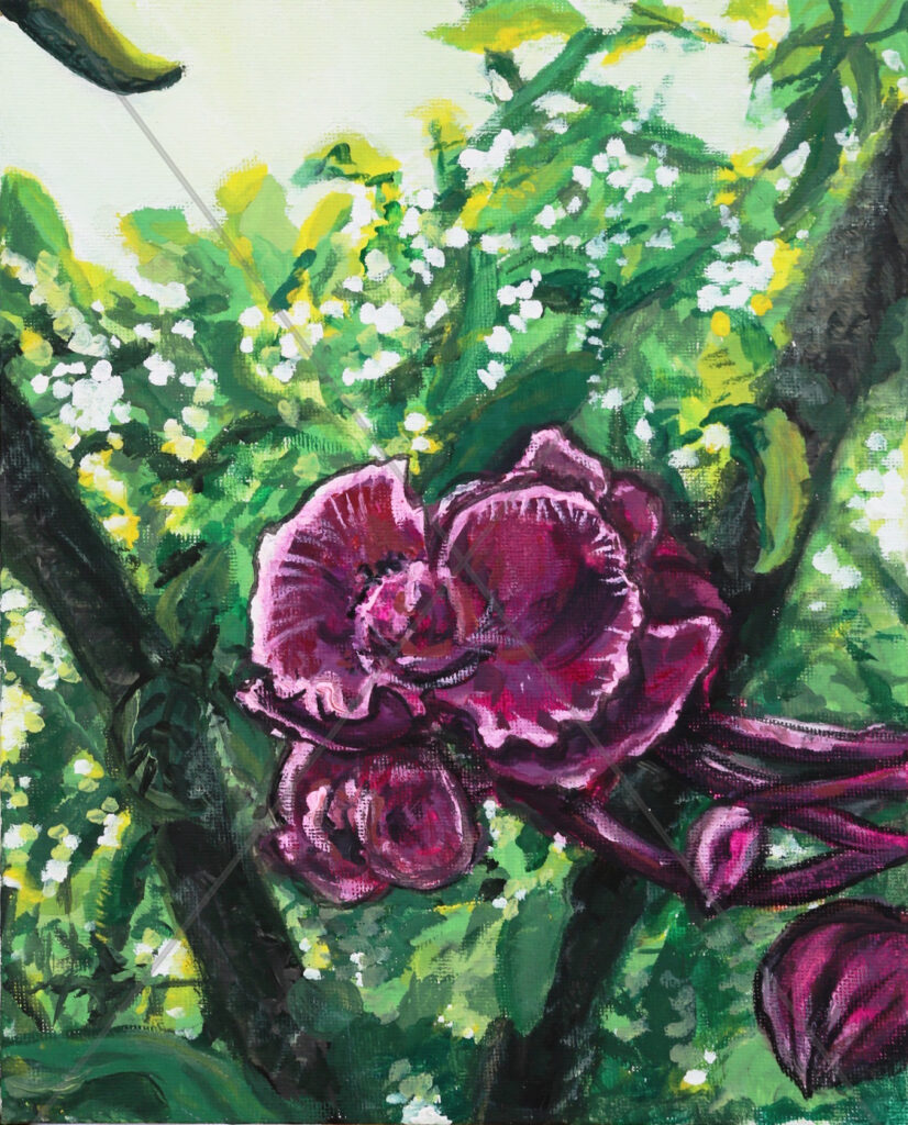 Orchid in Greenery