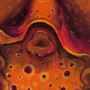 Orchid Abstract Orange