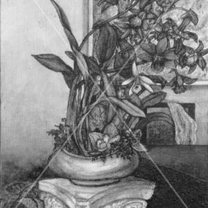 B&W Orchid Arrangement
