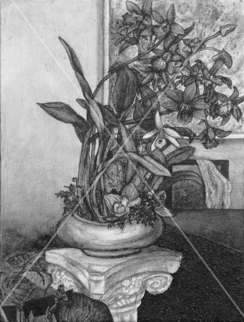 B&W Orchid Arrangement
